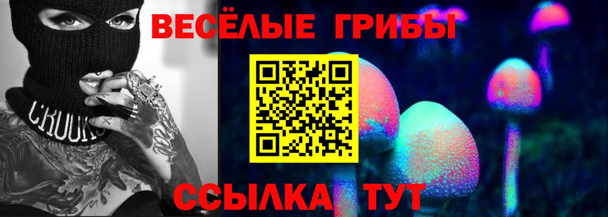 Шатура  Псилоцибиновые грибы прущие грибы  Вход с VPN  купить закладку  Галлюциногенные грибы GOLDEN TEACHER 